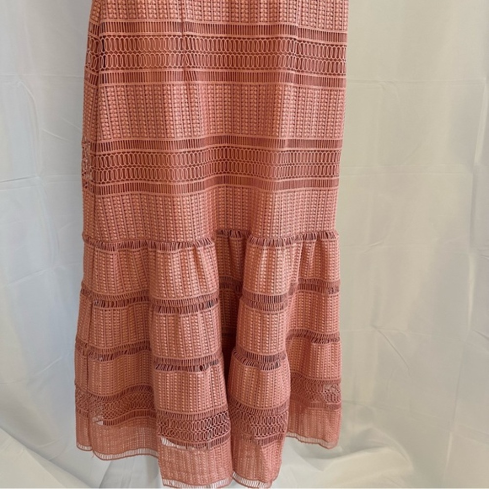 Antonio Melani BEAUTIFUL pale pink drop waist lace dress. Lines. Size 2. - Picture 4 of 9